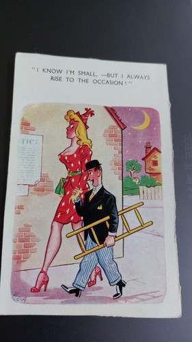 Vintage saucy postcard comic - vintage,