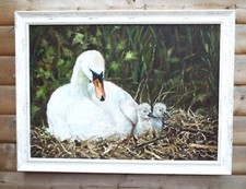 Swan and cygnets Original