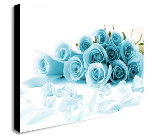 Duck egg blue roses framed - duck,