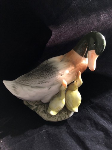 Vintage mallard duck with - duck, two