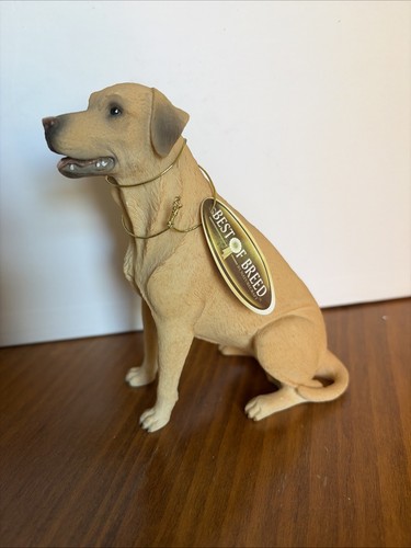 Yellow labrador retriever - yellow,
