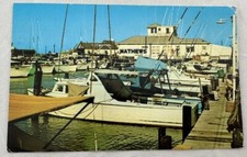 Antique Postcard Annual Deep