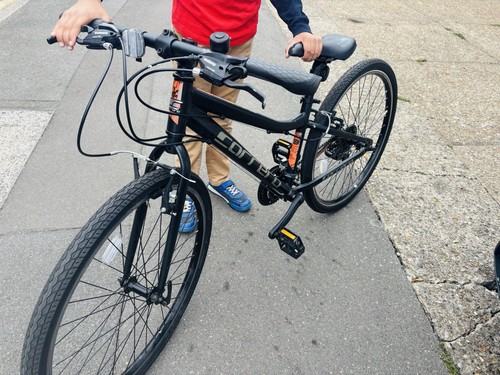 Carrera junior hybrid bike - carrera,