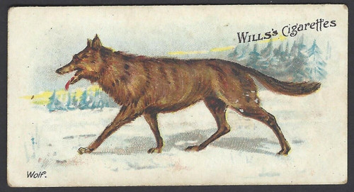 Wills wild animals of - wills, (aus)