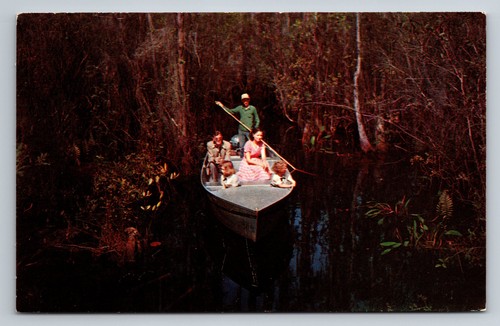 Vintage photochrome okefenokee - vintage,