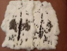 2pcs Natural Spotted Real