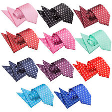 Premium Woven Polka Dot Classic Standard Slim or Skinny Tie & Hanky Set by DQT