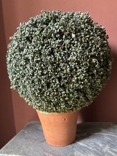 FAUX TOPIARY BALL IN TERRACOTTA POT