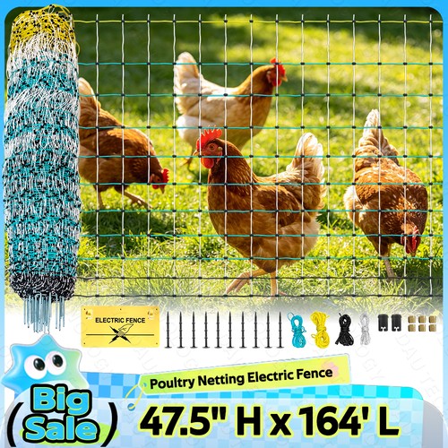 168 l poultry - x,