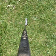 Golf Club, Putter, Ping Answer