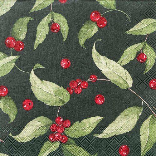 Cocktail paper napkins for - 2,