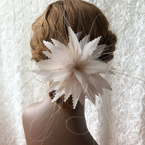 Colours feathers flowers - colours,