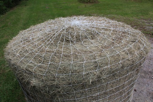 Horse hay round bale - round,