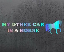 Horse Ride Chrome holographic