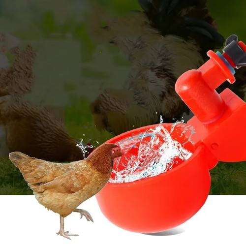 Automatic chicken water cup - automatic,