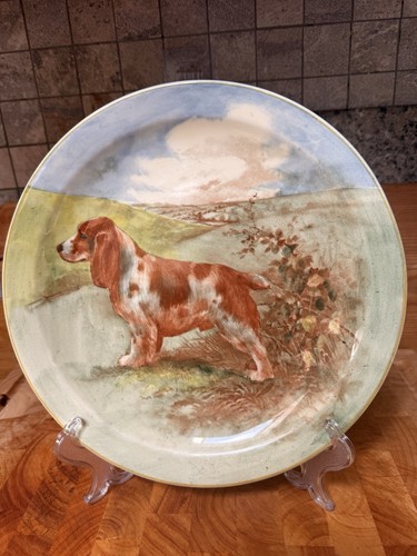 Royal doulton seriesware - seriesware, plate