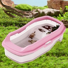 Turtle Tank Tortoise Terrarium