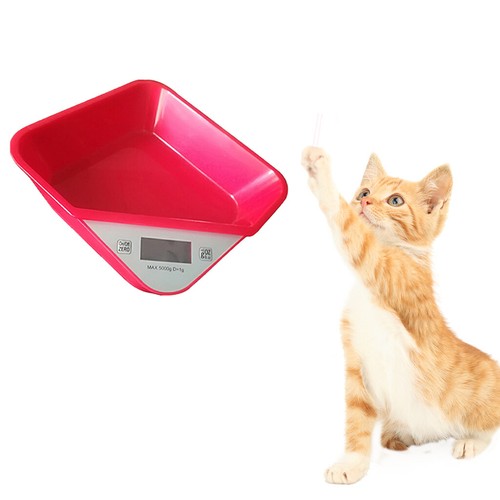 Digital pet scale veterinary - pet,