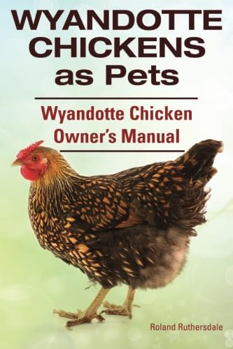 Wyandotte chickens pets - wyandotte,