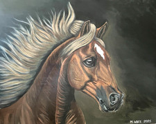 Andalusian Horse SIGNED ORIGINAL ACRYLIC PAINTING - Uk artist - Christmas gift