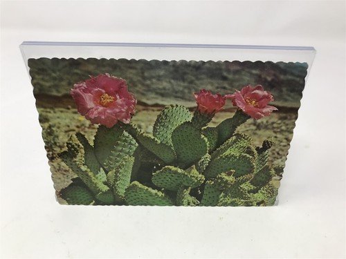 Vintage postcard magenta - postcard,