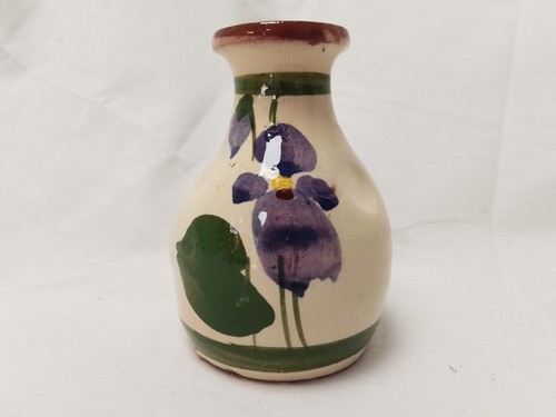 Devon violets pot - violets, ~