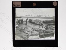 Whaling Industry Norway Whale