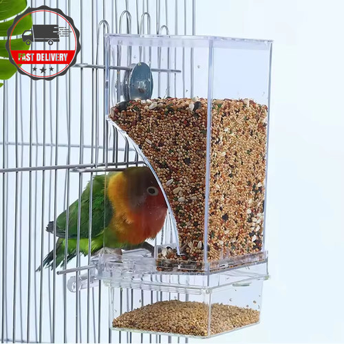 Automatic parrot seed feeder - automatic,