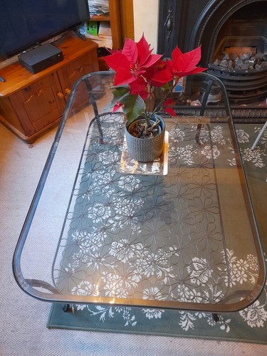 Ikea glass topped - ikea, table