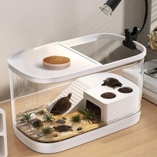 Turtle Tank Climbing Bottom