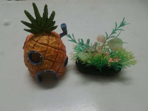 Spongebob squarepants - spongebob,