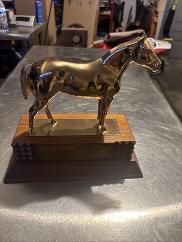 1957 sonita quarter horse show - sonita,