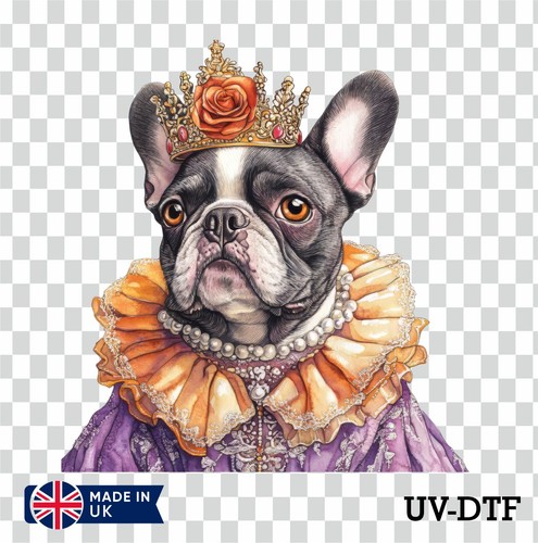 Victorian french bulldog - victorian,