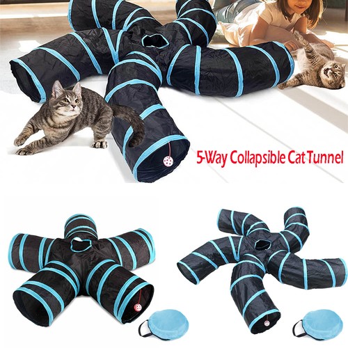 Cat kitten puppy way - cat, tunnel