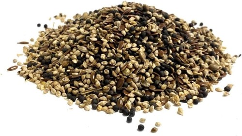 5kg cage bird condition seed - bird,