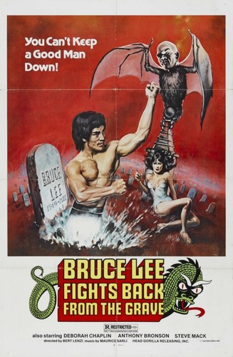 Bruce lee fights - fights, grave