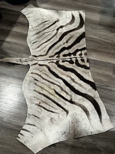 Zebra pelt hide - zebra, fur