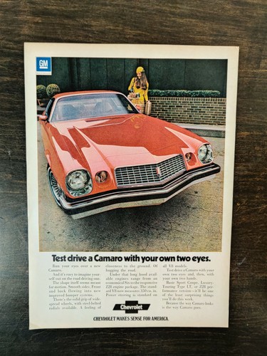 Vintage 1974 chevrolet camaro - 1974,