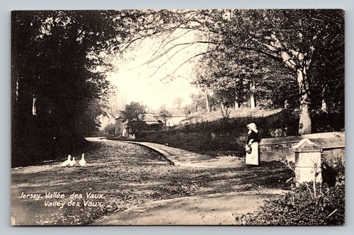 Postcard channel islands - postcard,
