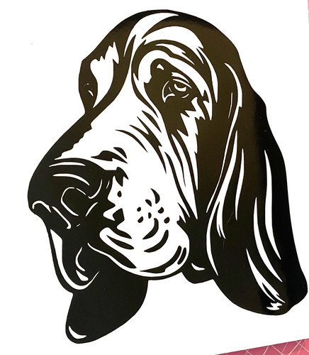 Bassett hound dog - 1x,