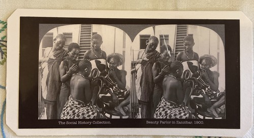 Stereoscope slide beauty - stereoscope,