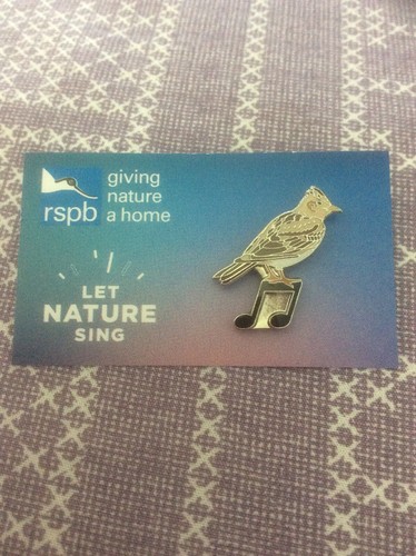 Rspb pin badge - pin, let
