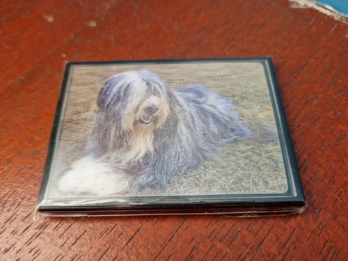Bearded collie magnet - bearded,