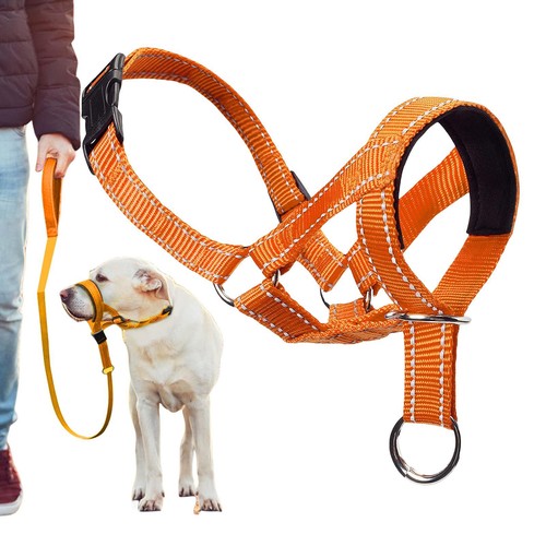 Dog head harness - head,