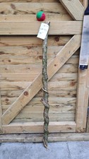 Twisted Twisty Wood Hazel