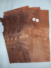 4 CONSECUTIVE SHEETS AMERICAN BURR WALNUT VENEER MARQUETRY GUITAR WOOD EB26