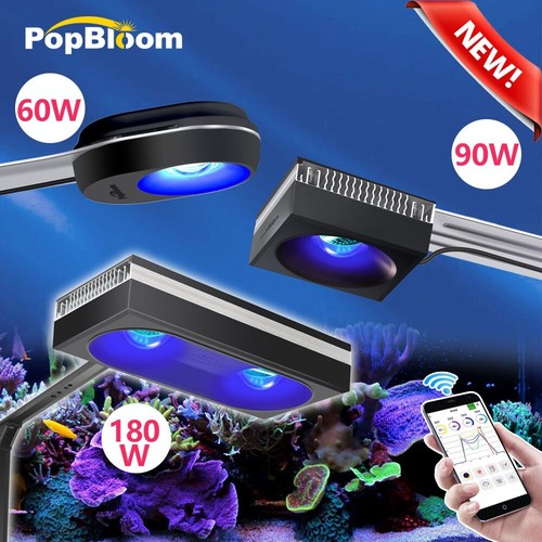 Popbloom 60w 90w - 60w,