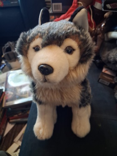 Husky dog plush toy - toy, superb