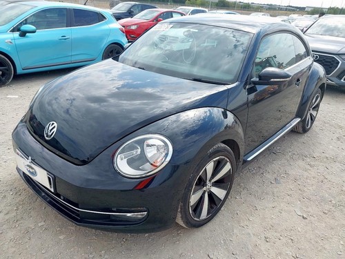 Breaking beetle sport - breaking,