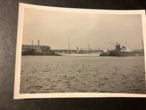 Androssan paddle steamer - paddle,